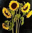 Sunflowers by David Hardy